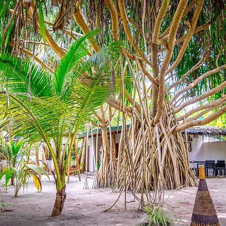 Sevidlam Rinbudhoo Inn Dhaalu Atoll Exterior photo