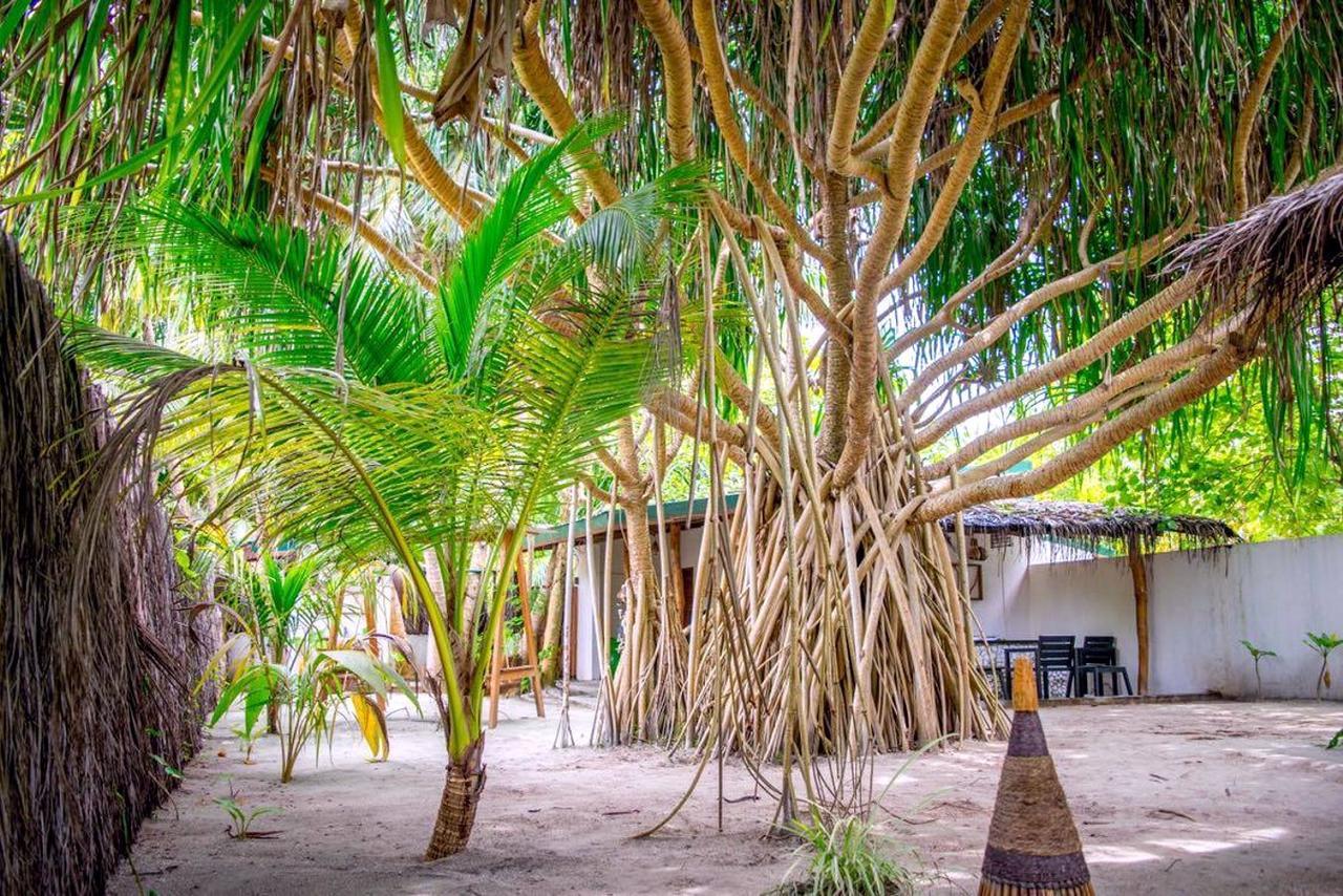 Sevidlam Rinbudhoo Inn Dhaalu Atoll Exterior photo